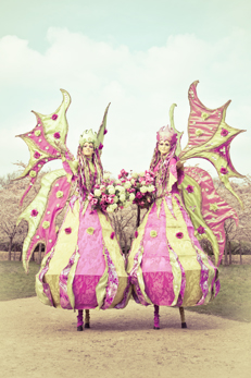 flower fairies 5